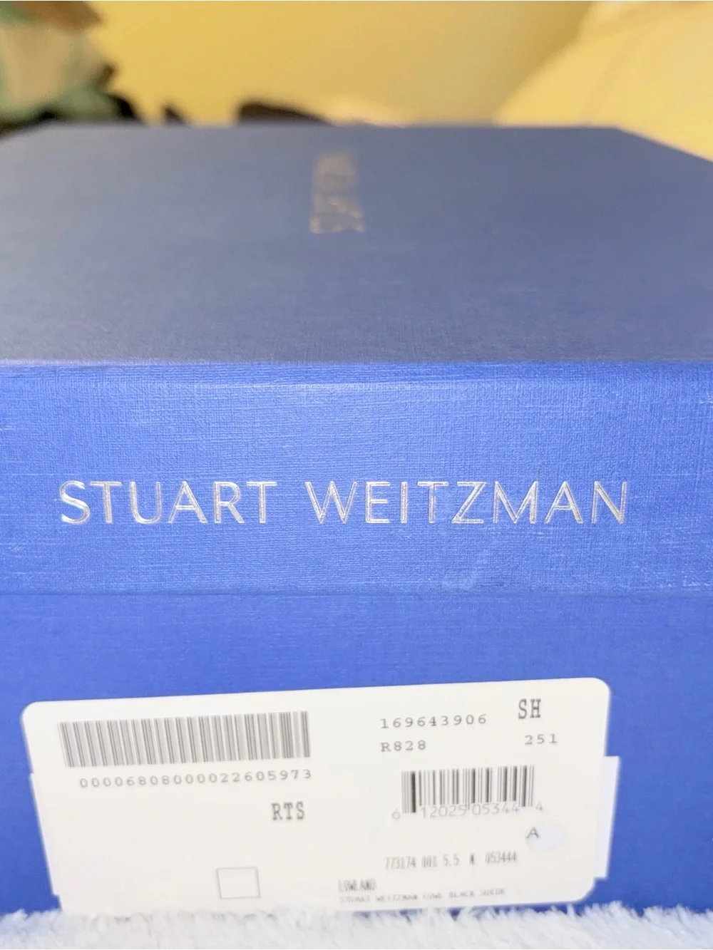 Stuart Weitzman sleek over